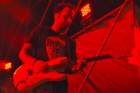 guitale29_small.jpg