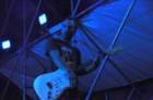 guitale39_small.jpg