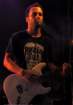 guitale8_small.jpg